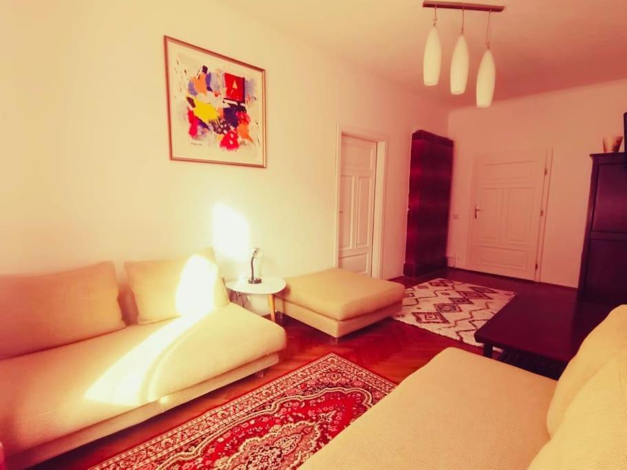 Casa Young&Jung Sibiu Eksteriør billede